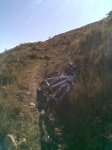 20022010(002)..jpg