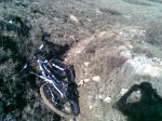 20022010(003)..jpg