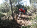 pica park 003..jpg