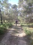 P200210_10.53..jpg