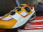 P1050219..jpg