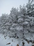 IMG_2743..jpg