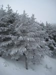 IMG_2739..jpg