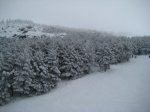 IMG_2737..jpg