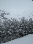 IMG_2745..jpg