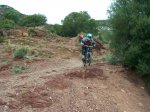 entrenamientos d&#.jpg