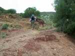 entrenamientos d&#.jpg