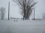 dic 09 - 21 feb 10&#.jpg