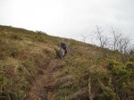 IMG_2433..jpg