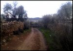 20022010214_II..jpg