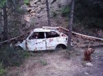 trialera de el charco 002.jpg