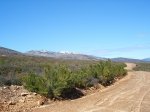Foto 16- AhÃ­ estÃ¡, el Teleno.jpg