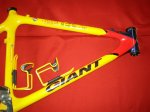 CUADRO GIANT Y PIEZ&.jpg