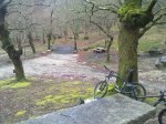 20100221_F oto5..jpg