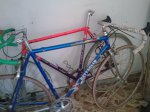 11022010398..jpg
