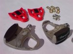 DSC00479Medium.jpg
