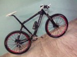 orbea1..jpg