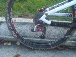 nuribici7..jpg