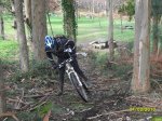 SDC10450..jpg