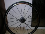 SANY0228..jpg