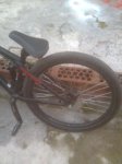 Imagen0011..jpg