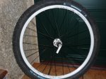 carnaval 2010 024 &#.jpg