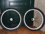 carnaval 2010 020 &#.jpg