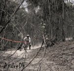 DSC00005..jpg