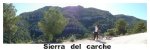 carche2..jpg