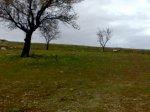 25022010507.jpg