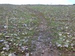 25022010506.jpg