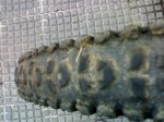 25022010566 (Large&#4.jpg
