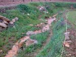 25022010501.jpg