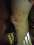 DSC00778..jpg