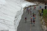 155-PIC40289215..jpg