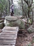 DSCF0398..jpg