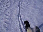 IMG_0058.JPG