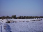 IMG_0075.jpg