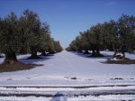 IMG_0055.JPG