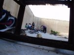 P1160066..jpg