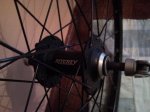 SNC00260..jpg