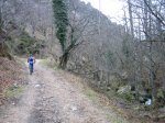IMG_8960..JPG