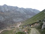 IMG_8967..JPG
