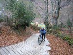 IMG_8984..JPG