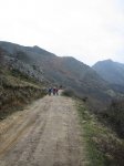 IMG_8964..JPG