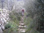 DSCN0263..jpg