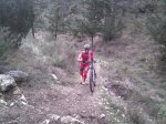 IMG228..jpg
