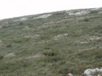 P2280534..jpg