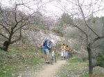 DSC00792..jpg