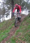 IMG_2491_338x480..JPG